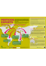 Poster: Pesticide Exports - Who benefits, who suffers, who decides?