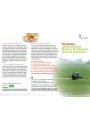 Faltblatt: Pestizide - Unterschätzte Risiken für Mensch, Umwelt und Natur
