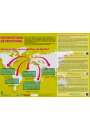 Affiche: Exportation de pesticides : Qui en profite, qui en souffre, qui décide ?